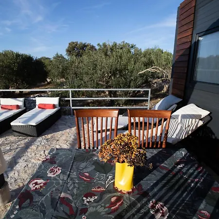 House Sofia - & Tavern Bain, Free Transport, Pool, Island Of Zut - Kornati