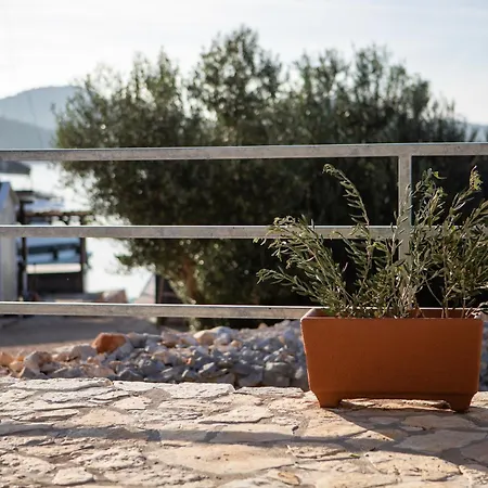 Ferienhaus House Sofia - & Tavern Bain, Free Transport, Pool, Island Of Zut - Kornati *